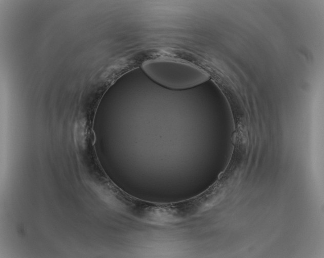 X0000112970223200909101700