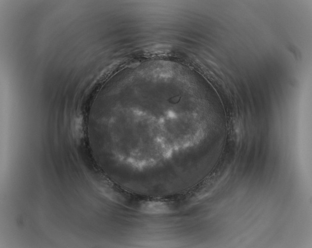 X0000112970224200909101700