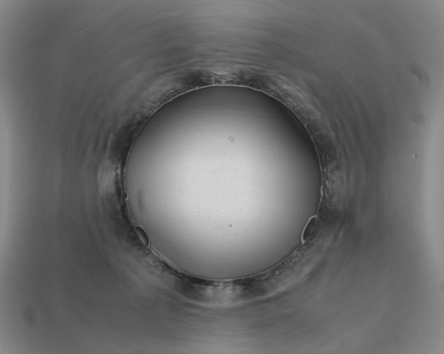 X0000112970225200909101700