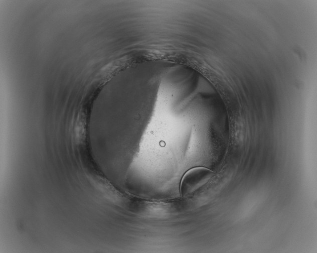 X0000112970226200909101700