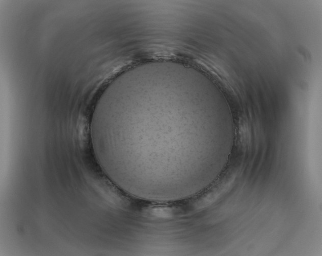 X0000112970228200909101700