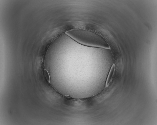 X0000112970229200909101700