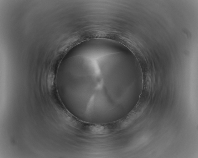 X0000112970230200909101700