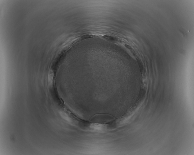 X0000112970231200909101659