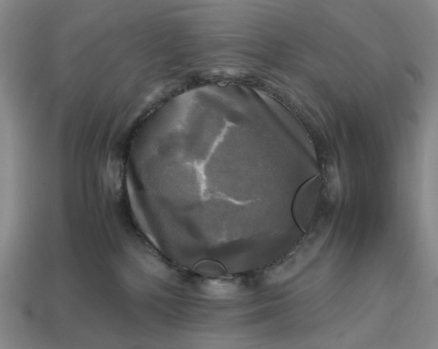 X0000112970232200909101659