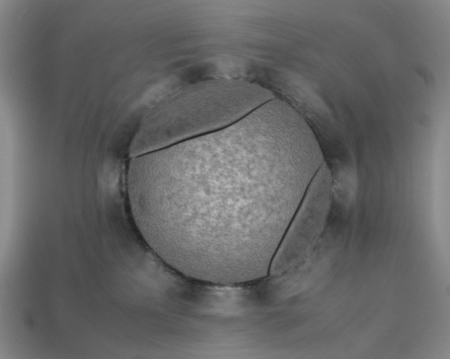 X0000112970233200909101659