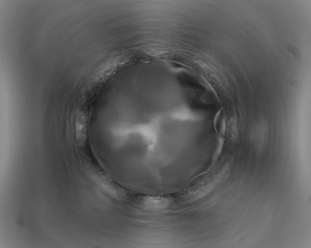 X0000112970234200909101659