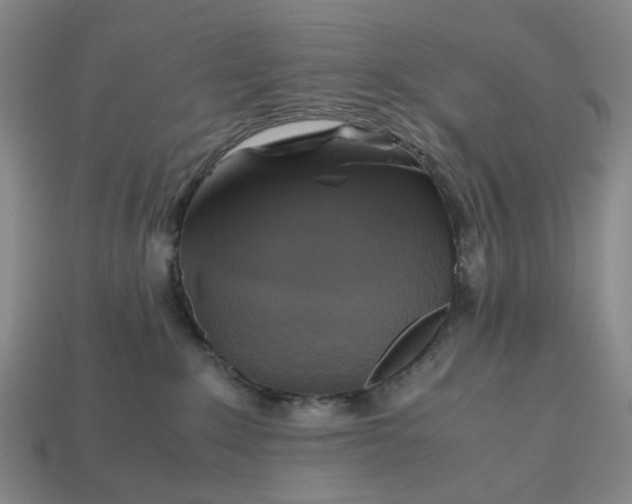 X0000112970235200909101659