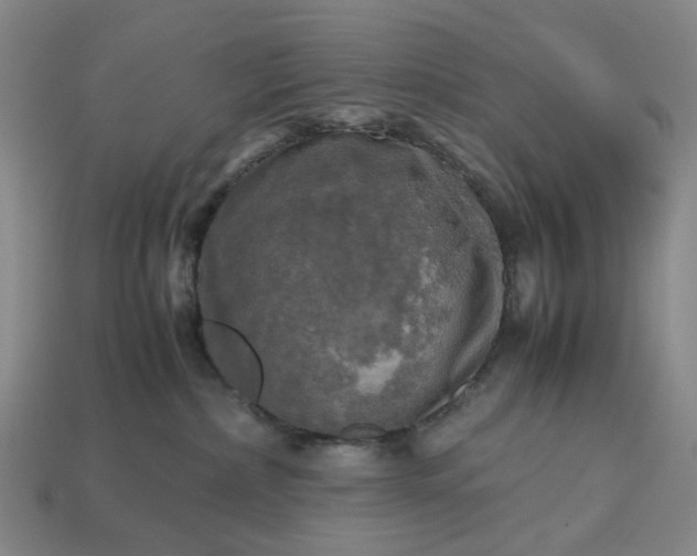 X0000112970236200909101659