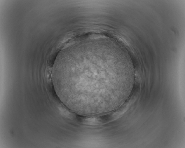 X0000112970237200909101659