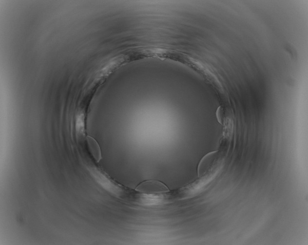 X0000112970238200909101659