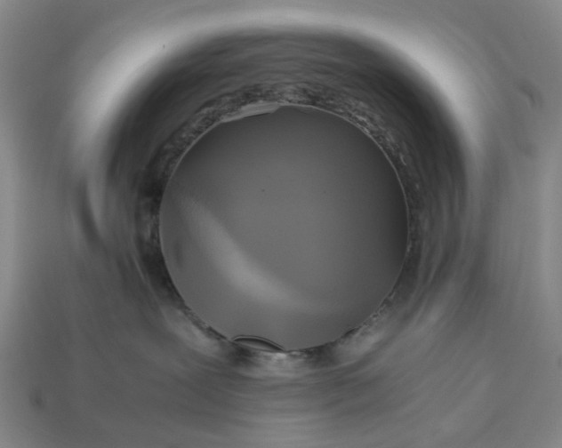 X0000112970239200909101659