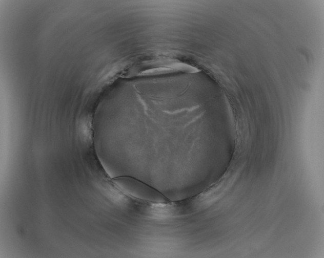 X0000112970240200909101659