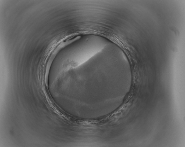 X0000112970241200909101659