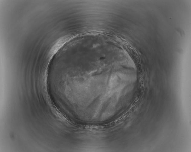 X0000112970242200909101659