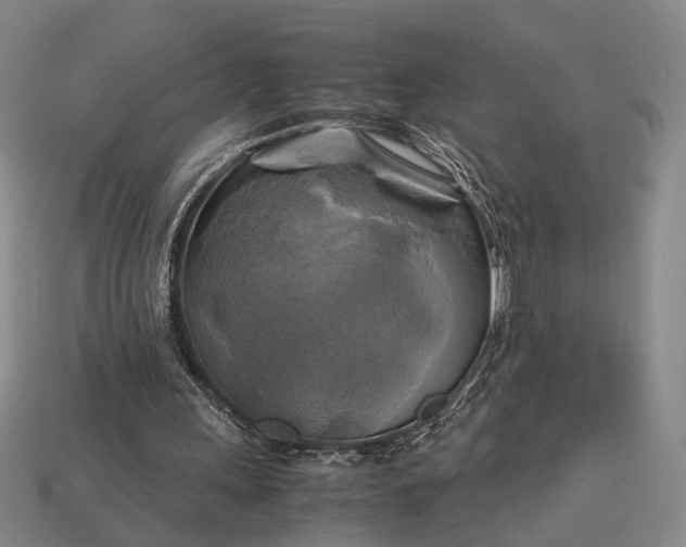 X0000112970243200909101659