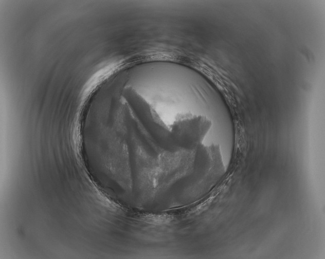 X0000112970245200909101659