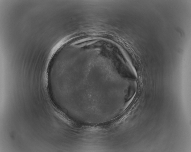 X0000112970246200909101659