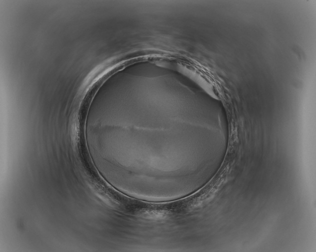 X0000112970247200909101659