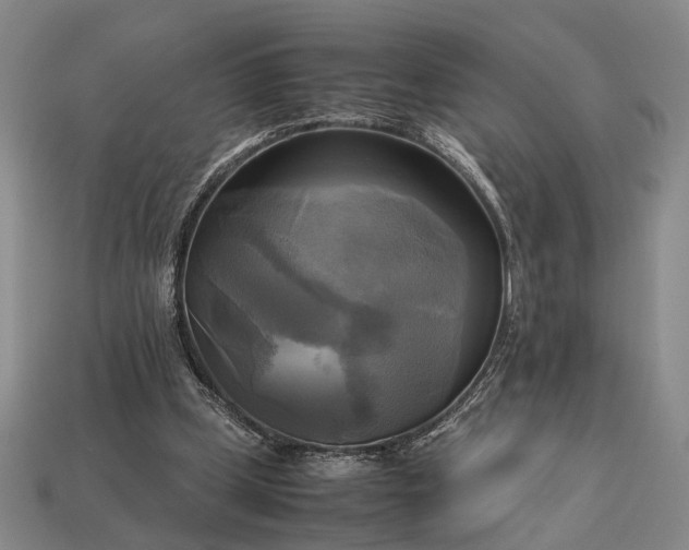 X0000112970249200909101659