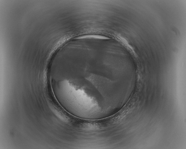 X0000112970250200909101659