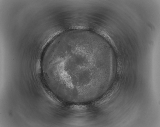 X0000112970251200909101659