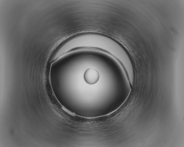 X0000112970252200909101659