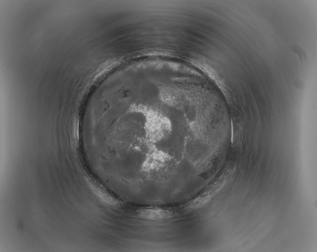 X0000112970253200909101659