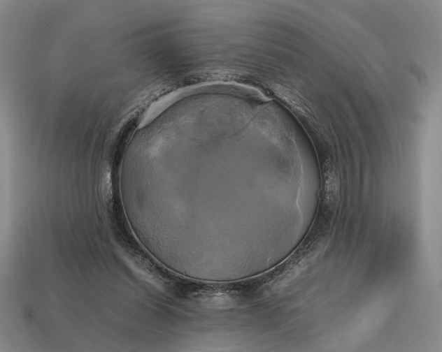 X0000112970254200909101659