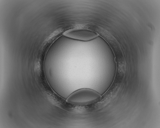 X0000112970256200909101659