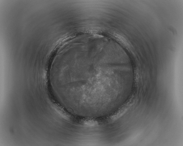 X0000112970258200909101659