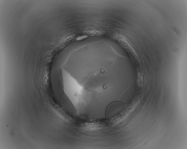 X0000112970259200909101659