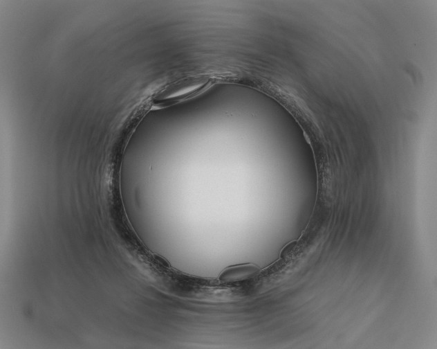 X0000112970260200909101659