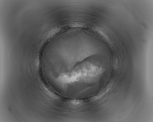 X0000112970261200909101659