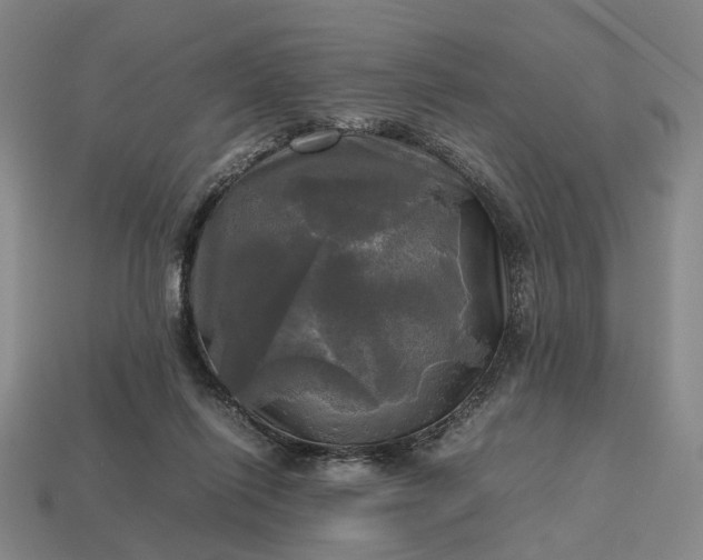 X0000112970262200909101659