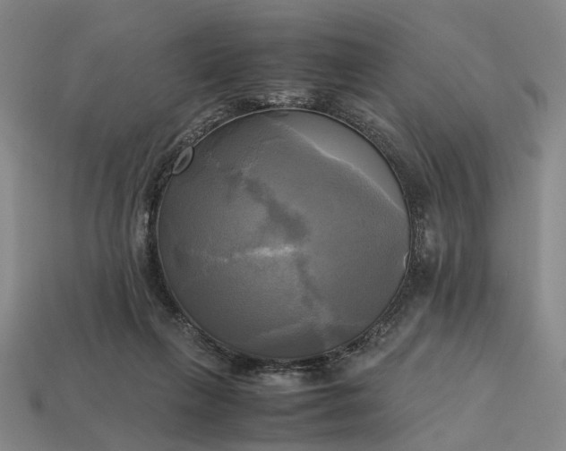 X0000112970263200909101659