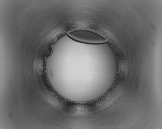 X0000112970264200909101659