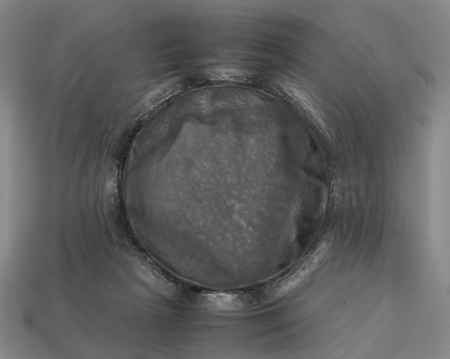 X0000112970265200909101659