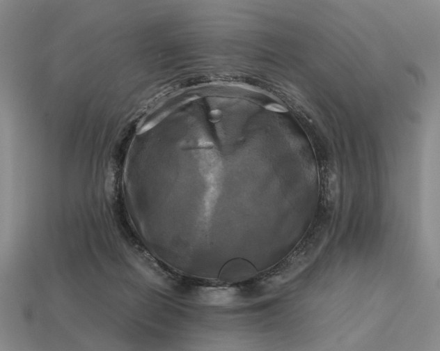 X0000112970266200909101659