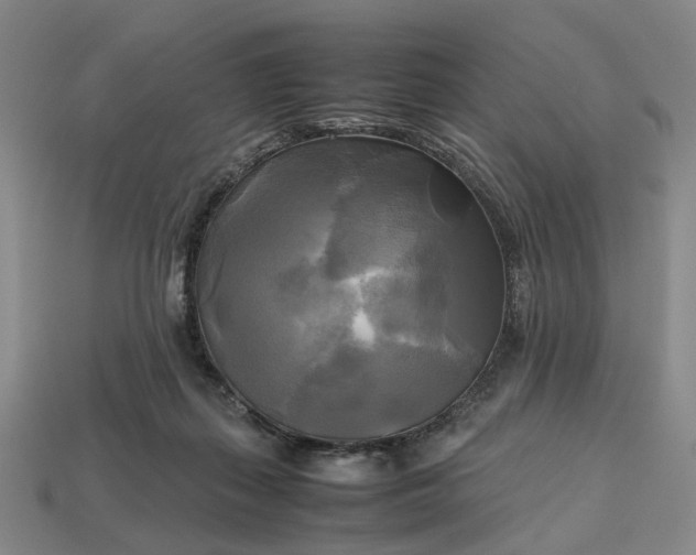 X0000112970267200909101659