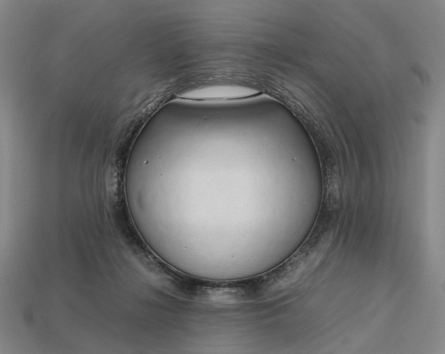 X0000112970268200909101659