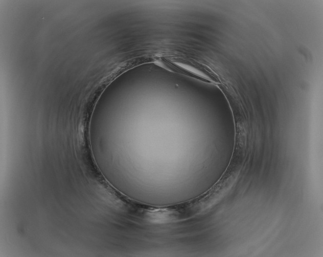 X0000112970269200909101659