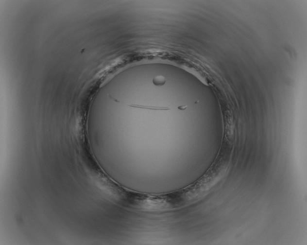 X0000112970270200909101659