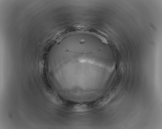 X0000112970271200909101659