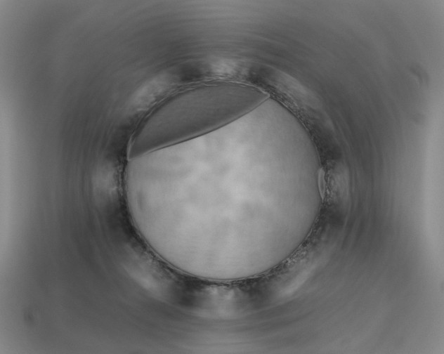 X0000112970272200909101659