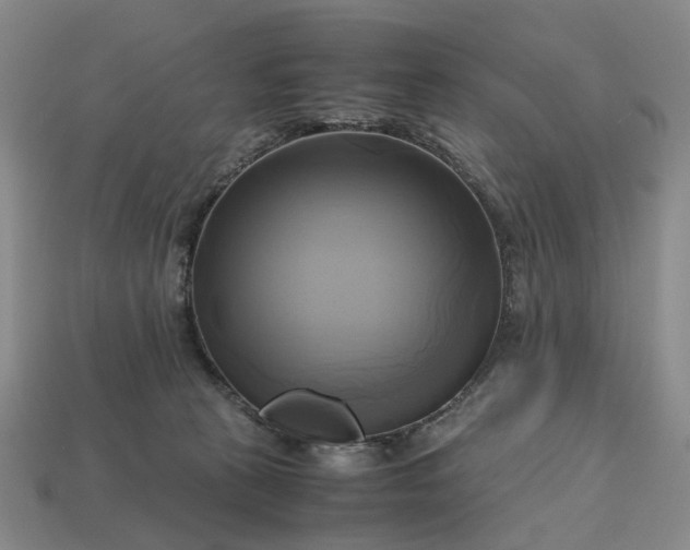 X0000112970273200909101659