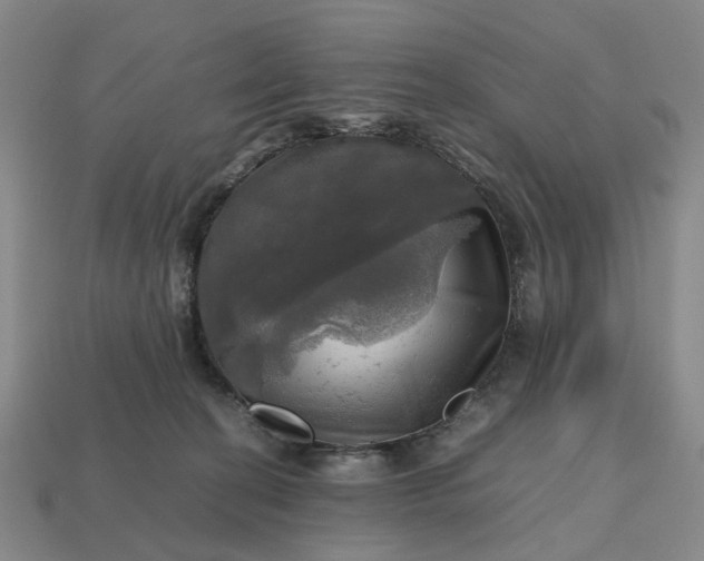 X0000112970274200909101659