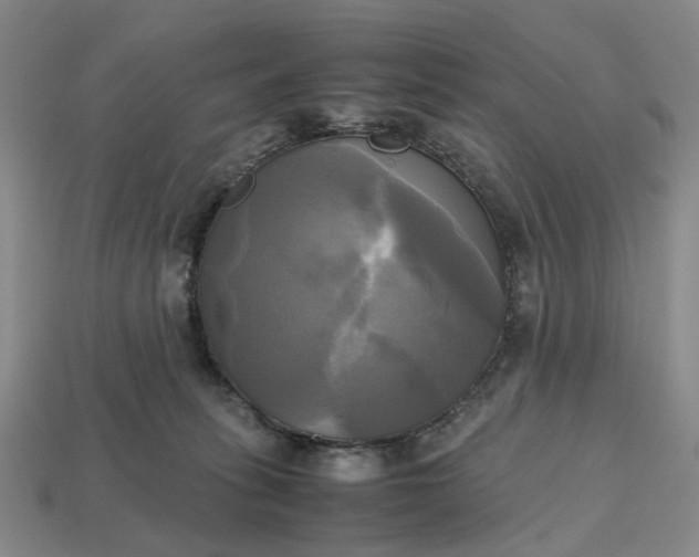 X0000112970275200909101659