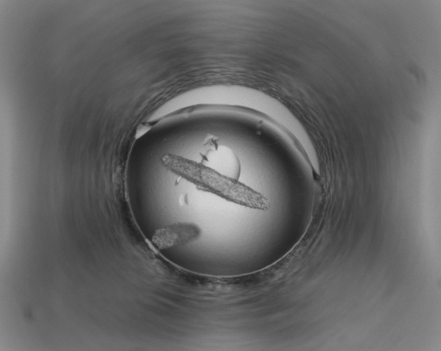 X0000112970276200909101659