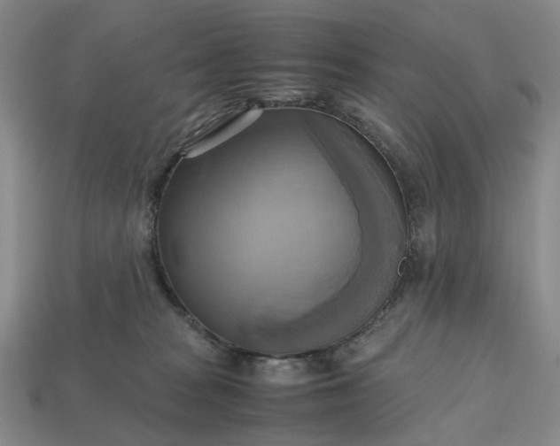 X0000112970277200909101659